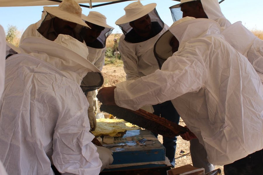 Beekeeper training near Sinjar city in Northern Iraq © Welthungerhilfe